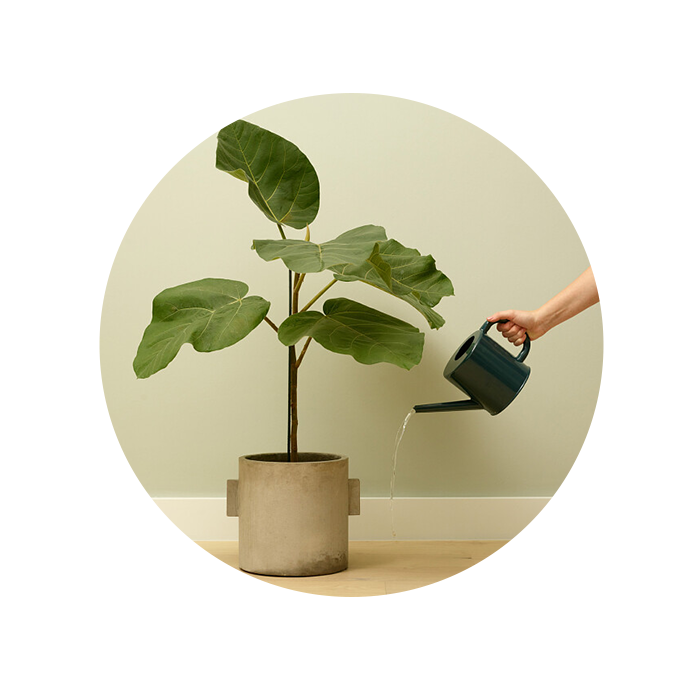 HABITARMOS PAVIMENTOS EM MADEIRA